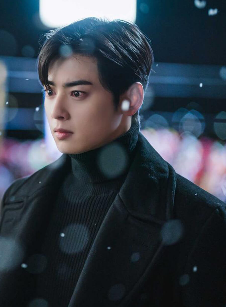 Cha Eun-woo True Beauty Black Coat