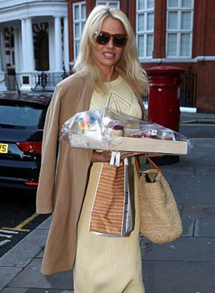 Pamela Anderson Brown Wool Coat