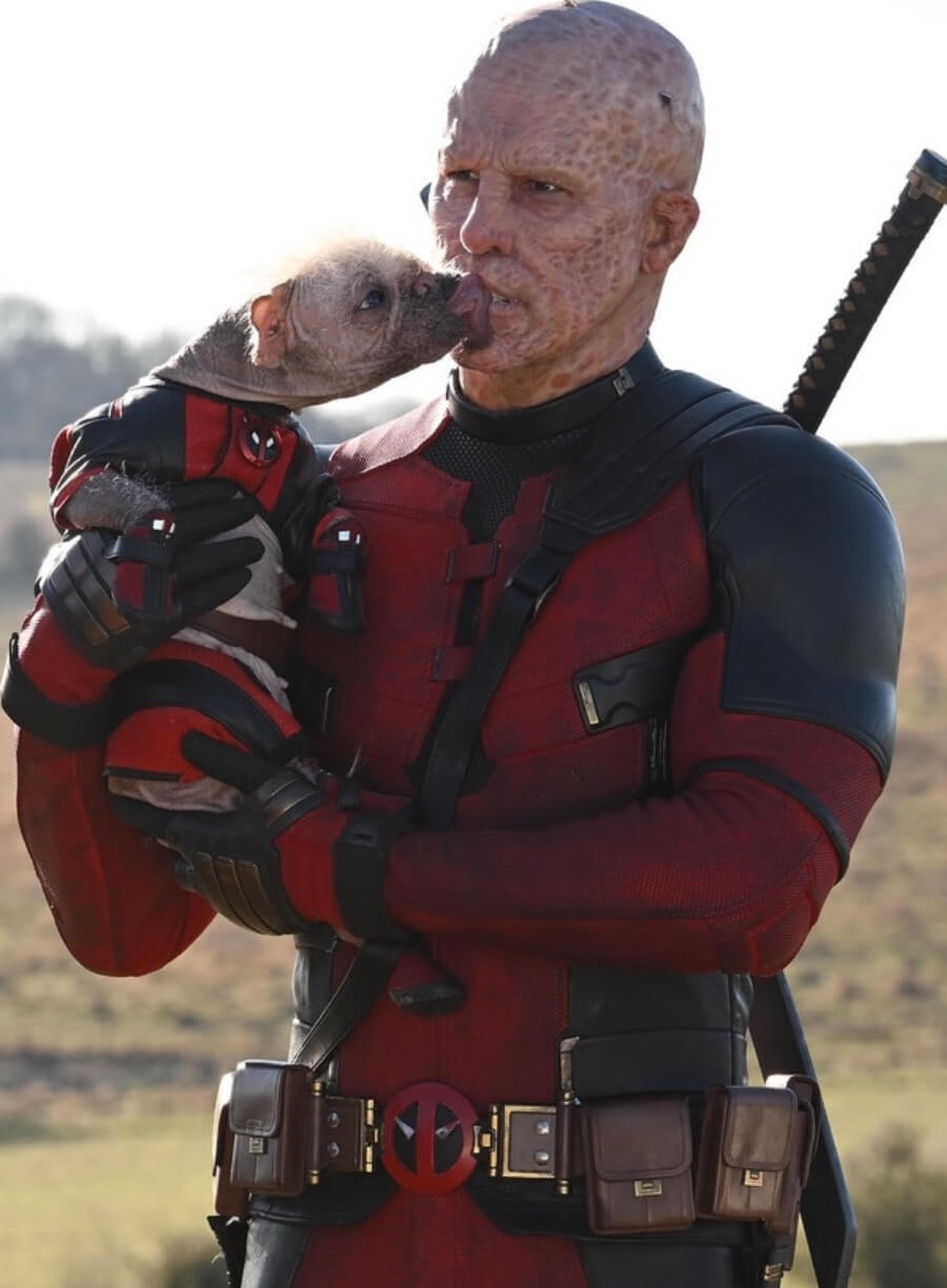 Ryan Reynolds Deadpool & Wolverine Costume Jacket